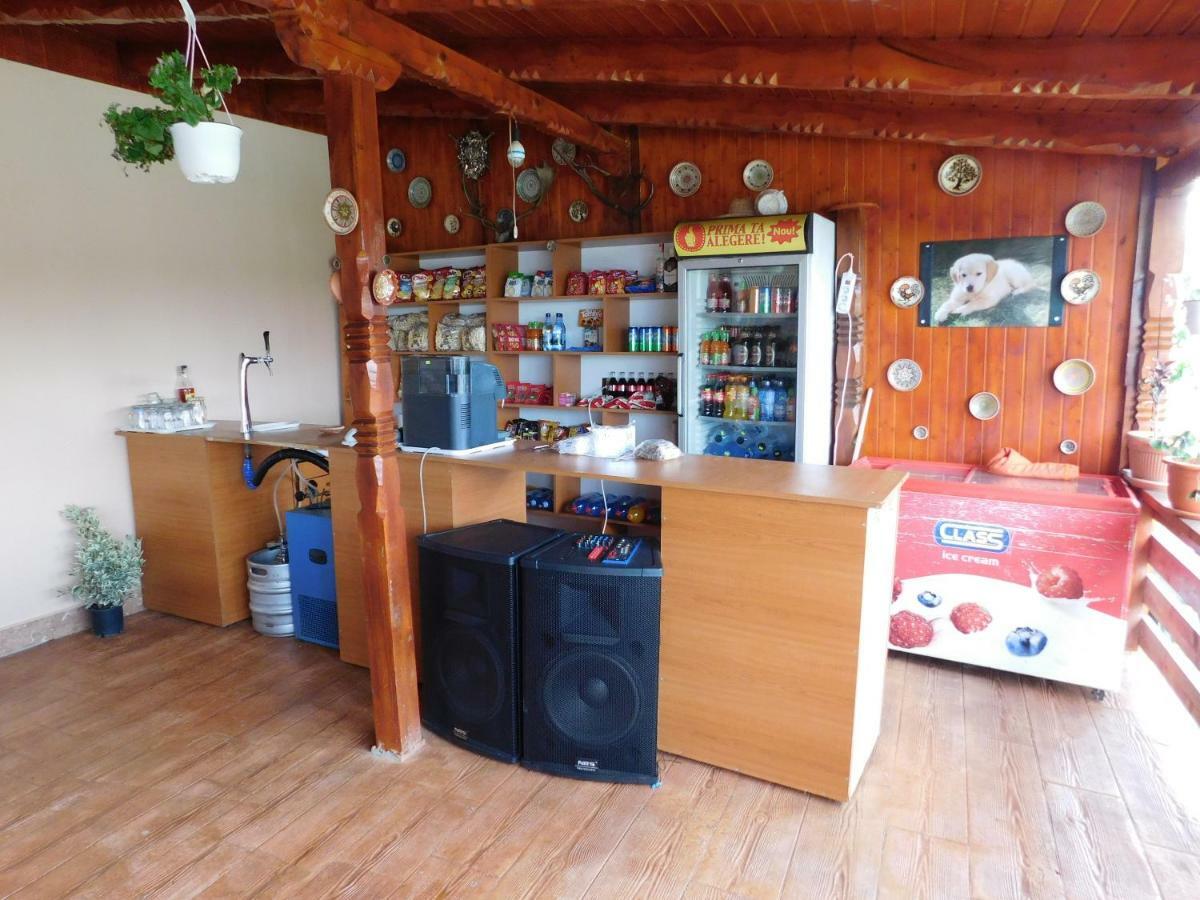 Pensiunea Casa Domnitei Baia de Fier Exterior foto