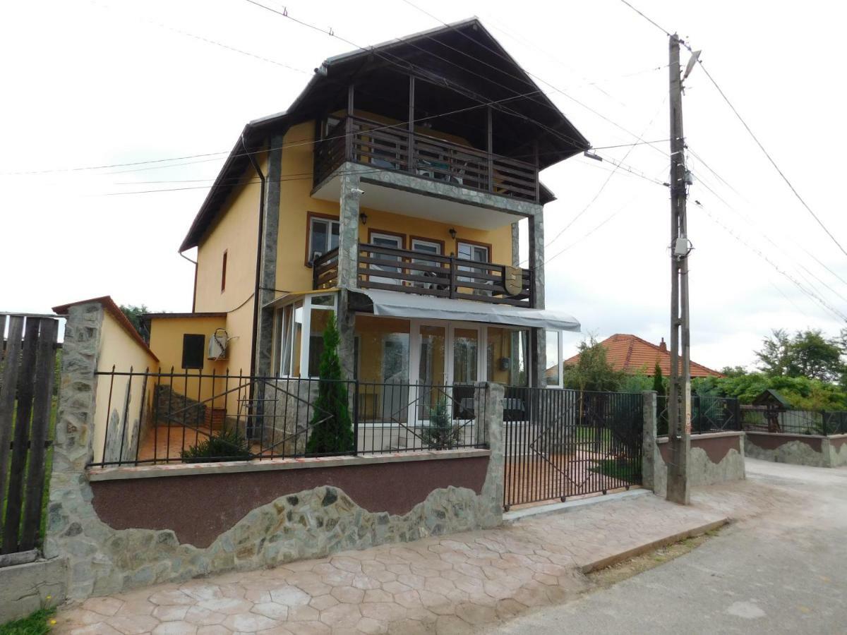 Pensiunea Casa Domnitei Baia de Fier Exterior foto