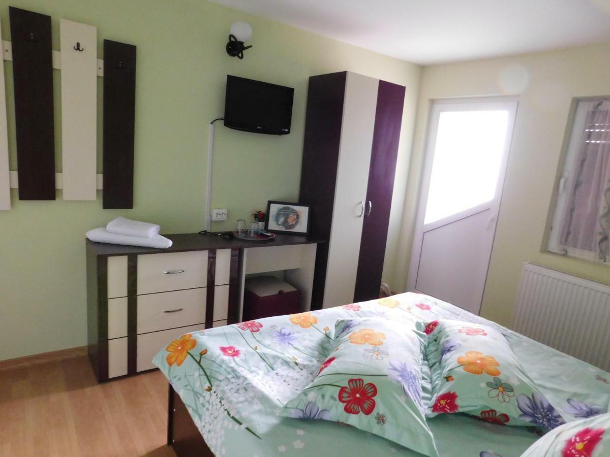 Pensiunea Casa Domnitei Baia de Fier Exterior foto